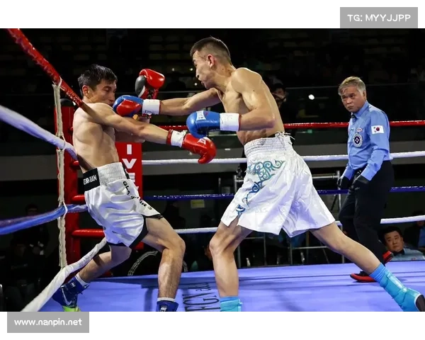 拳击赛事在线直播-拳击赛事在线直播视频