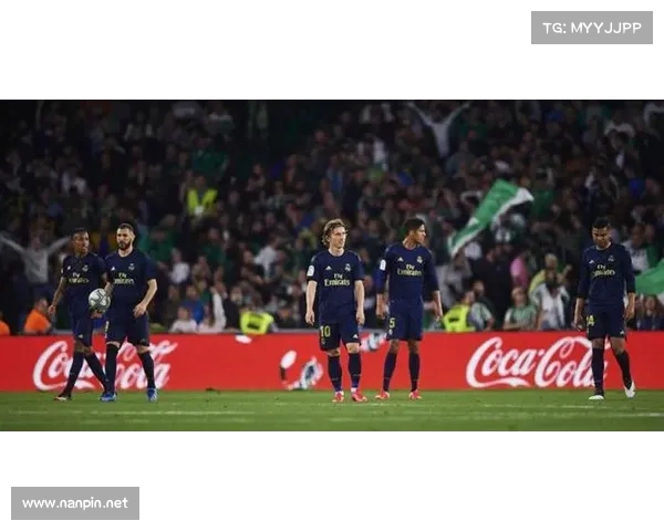 费拉拉赛事2023年最终成绩与排名全面揭晓亮点回顾