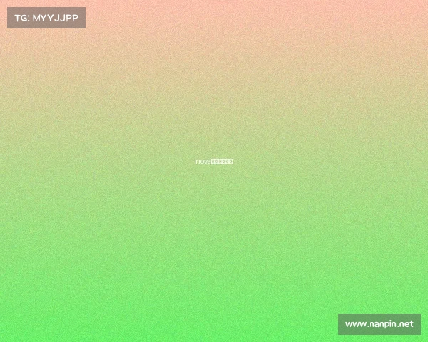 nova官方电竞商城